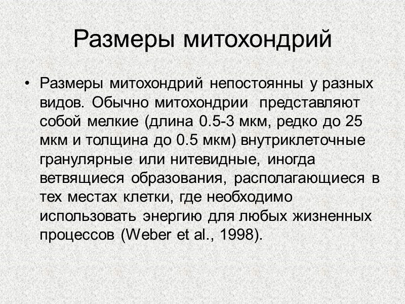Размеры митохондрий  Размеры митохондрий непостоянны у разных видов. Обычно митохондрии  представляют собой